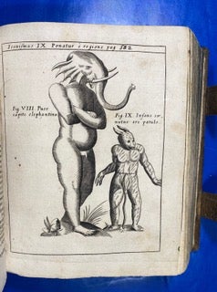 Physica Curiosa, Sive Mirabilia Naturæ Et Artis Libris XII. Comprehensa, Quibus pleraq;, quæ de