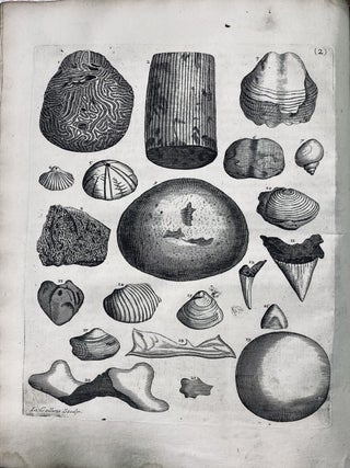 The natural history of Lancashire, Cheshire, and the peak, in Derbyshire: with an account of the British, Phœnician, Armenian, Gr. and Rom. antiquities in those parts. By Charles Leigh, Doctor of Physick.