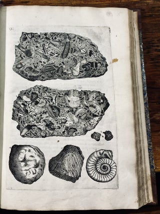 The natural history of Lancashire, Cheshire, and the peak, in Derbyshire: with an account of the British, Phœnician, Armenian, Gr. and Rom. antiquities in those parts. By Charles Leigh, Doctor of Physick.